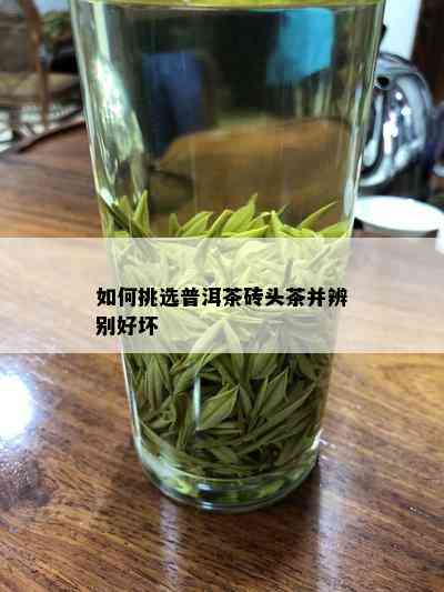 如何挑选普洱茶砖头茶并辨别好坏