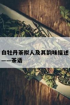 白牡丹茶拟人及其韵味描述——茶语