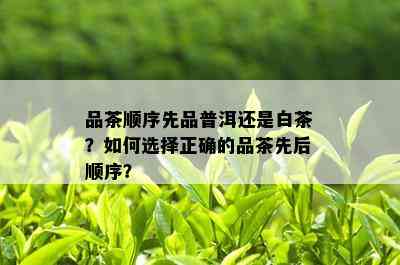 品茶顺序先品普洱还是白茶？如何选择正确的品茶先后顺序？