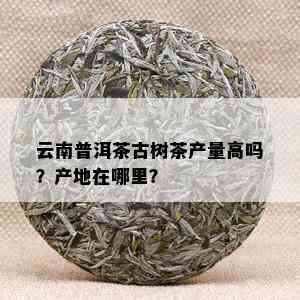 云南普洱茶古树茶产量高吗？产地在哪里？