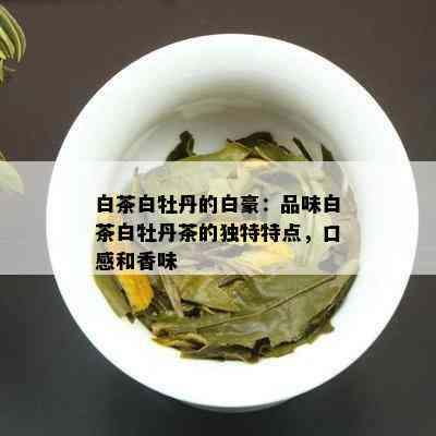 白茶白牡丹的白豪：品味白茶白牡丹茶的独特特点，口感和香味