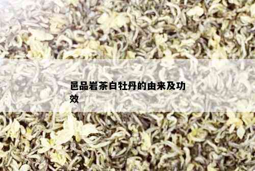 邑品岩茶白牡丹的由来及功效