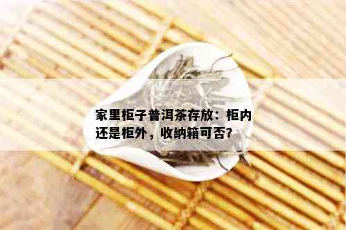 家里柜子普洱茶存放：柜内还是柜外，收纳箱可否？