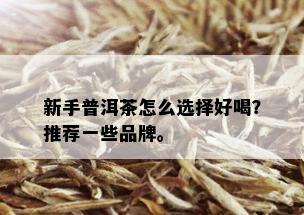 新手普洱茶怎么选择好喝？推荐一些品牌。