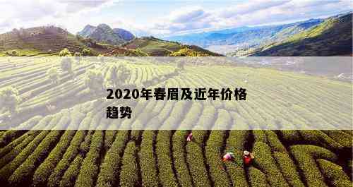 2020年春眉及近年价格趋势