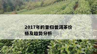 2017年的昔归普洱茶价格及趋势分析