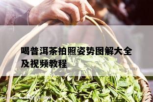 喝普洱茶拍照姿势图解大全及视频教程