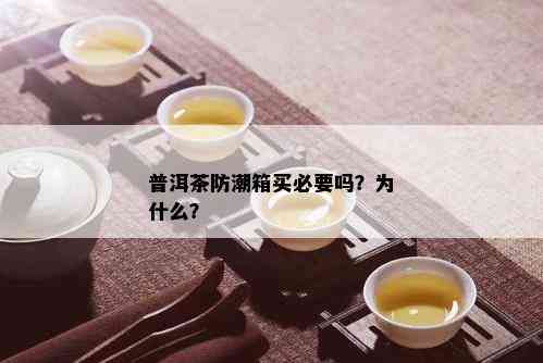 普洱茶防潮箱买必要吗？为什么？