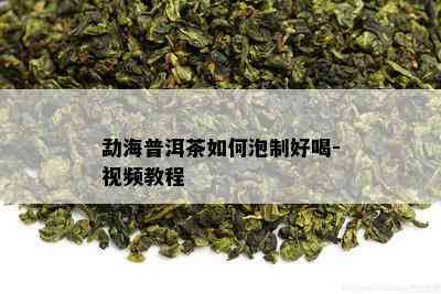 勐海普洱茶如何泡制好喝-视频教程