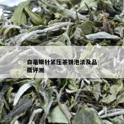 白毫银针紧压茶饼泡法及品质评测