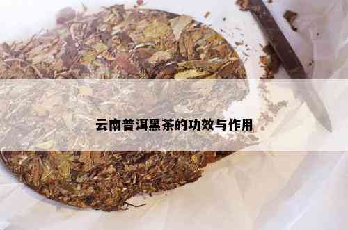 云南普洱黑茶的功效与作用