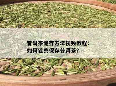 普洱茶储存方法视频教程：如何妥善保存普洱茶？