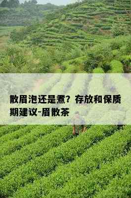 散眉泡还是煮？存放和保质期建议-眉散茶