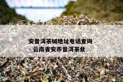 安普洱茶城地址电话查询 - 云南省安市普洱茶业