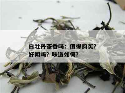 白牡丹茶香吗：值得购买？好闻吗？味道如何？