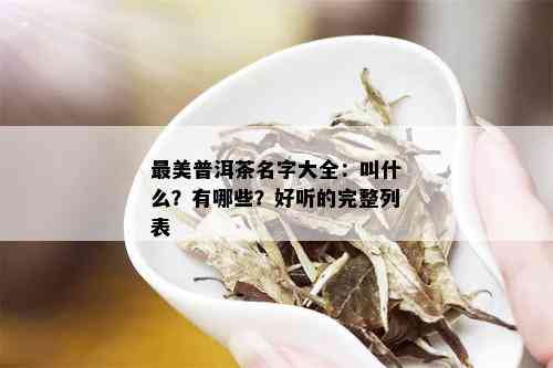 最美普洱茶名字大全：叫什么？有哪些？好听的完整列表