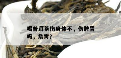 喝普洱茶伤身体不，伤脾胃吗，危害？