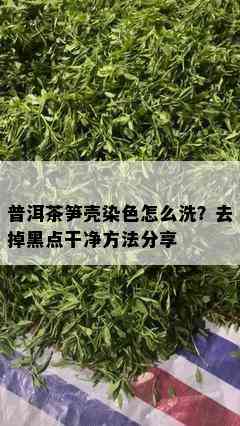 普洱茶笋壳染色怎么洗？去掉黑点干净方法分享