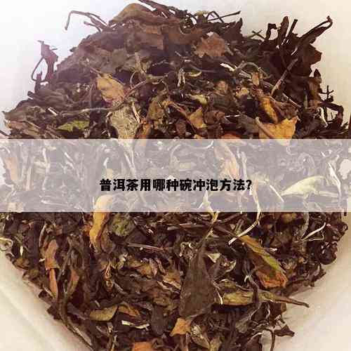 普洱茶用哪种碗冲泡方法？