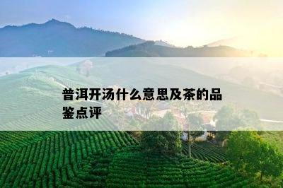 普洱开汤什么意思及茶的品鉴点评