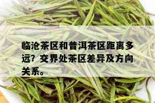 临沧茶区和普洱茶区距离多远？交界处茶区差异及方向关系。