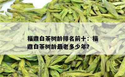 福鼎白茶树龄排名前十：福鼎白茶树龄最老多少年？