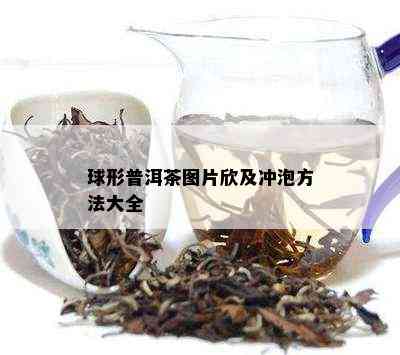 球形普洱茶图片欣及冲泡方法大全