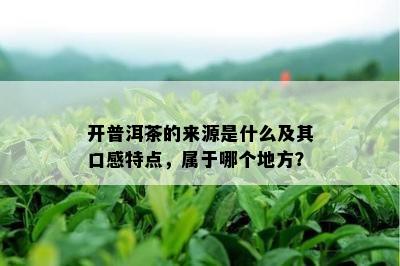 开普洱茶的来源是什么及其口感特点，属于哪个地方？