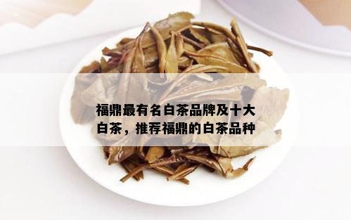 福鼎最有名白茶品牌及十大白茶，推荐福鼎的白茶品种