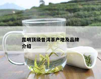 昆明顶级普洱茶产地及品牌介绍