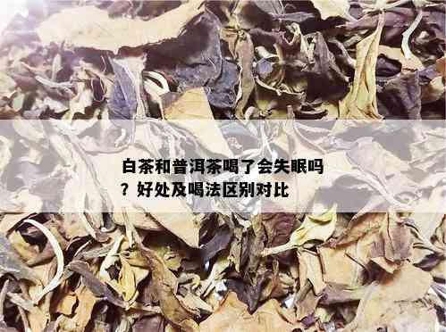 白茶和普洱茶喝了会失眠吗？好处及喝法区别对比