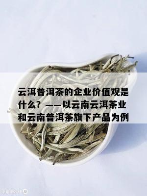 云洱普洱茶的企业价值观是什么？——以云南云洱茶业和云南普洱茶旗下产品为例