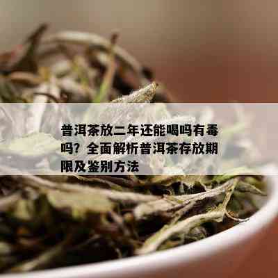 普洱茶放二年还能喝吗有吗？全面解析普洱茶存放期限及鉴别方法