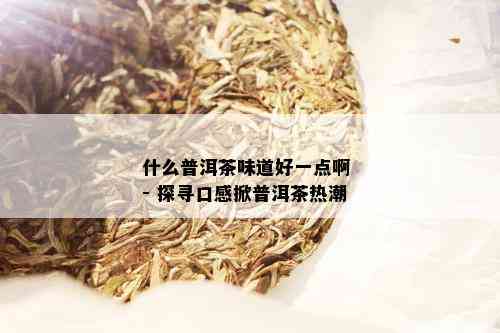 什么普洱茶味道好一点啊 - 探寻口感掀普洱茶热潮