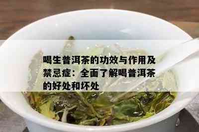 喝生普洱茶的功效与作用及禁忌症：全面了解喝普洱茶的好处和坏处