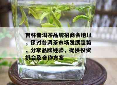 吉林普洱茶品牌招商会地址，探讨普洱茶市场发展趋势，分享品牌经验，提供投资机会及合作方案