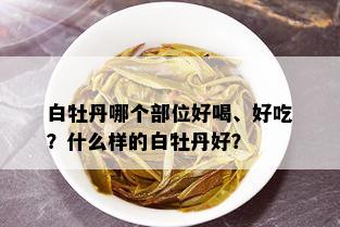 白牡丹哪个部位好喝、好吃？什么样的白牡丹好？