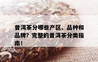 普洱茶分哪些产区、品种和品牌？完整的普洱茶分类指南！