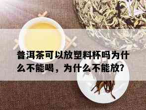 普洱茶可以放塑料杯吗为什么不能喝，为什么不能放？