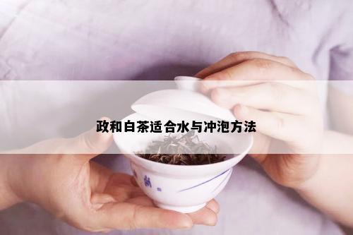 政和白茶适合水与冲泡方法