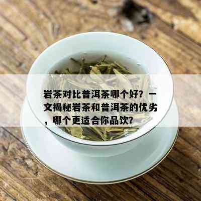 岩茶对比普洱茶哪个好？一文揭秘岩茶和普洱茶的优劣，哪个更适合你品饮？