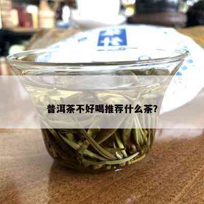 普洱茶不好喝推荐什么茶？