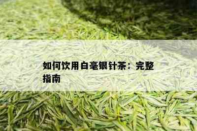 如何饮用白毫银针茶：完整指南