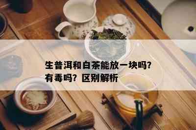 生普洱和白茶能放一块吗？有吗？区别解析