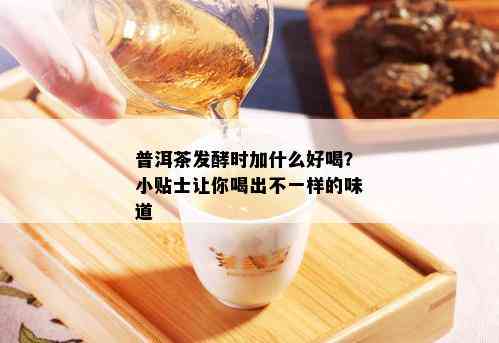 普洱茶发酵时加什么好喝？小贴士让你喝出不一样的味道