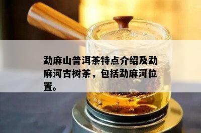 勐麻山普洱茶特点介绍及勐麻河古树茶，包括勐麻河位置。