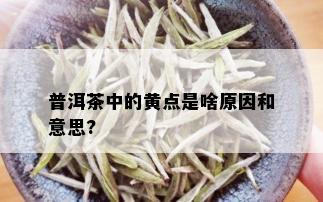 普洱茶中的黄点是啥原因和意思?