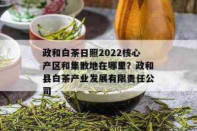 政和白茶日照2022核心产区和集散地在哪里？政和县白茶产业发展有限责任公司