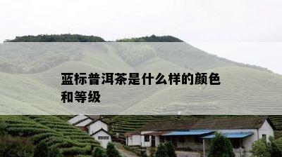 蓝标普洱茶是什么样的颜色和等级