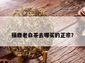 福鼎老白茶去哪买的正宗？